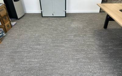 What Causes Black Lines along the Edge of Your Carpet?